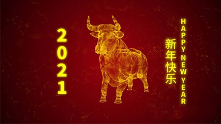 西迪技術(shù)股份有限公司20201年春節(jié)放假通知 西迪技術(shù)股份有限公司20201年春節(jié)放假通知