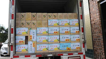 助銷黃桃社會(huì)扶貧,關(guān)愛員工送高溫福利 助銷黃桃社會(huì)扶貧,關(guān)愛員工送高溫福利